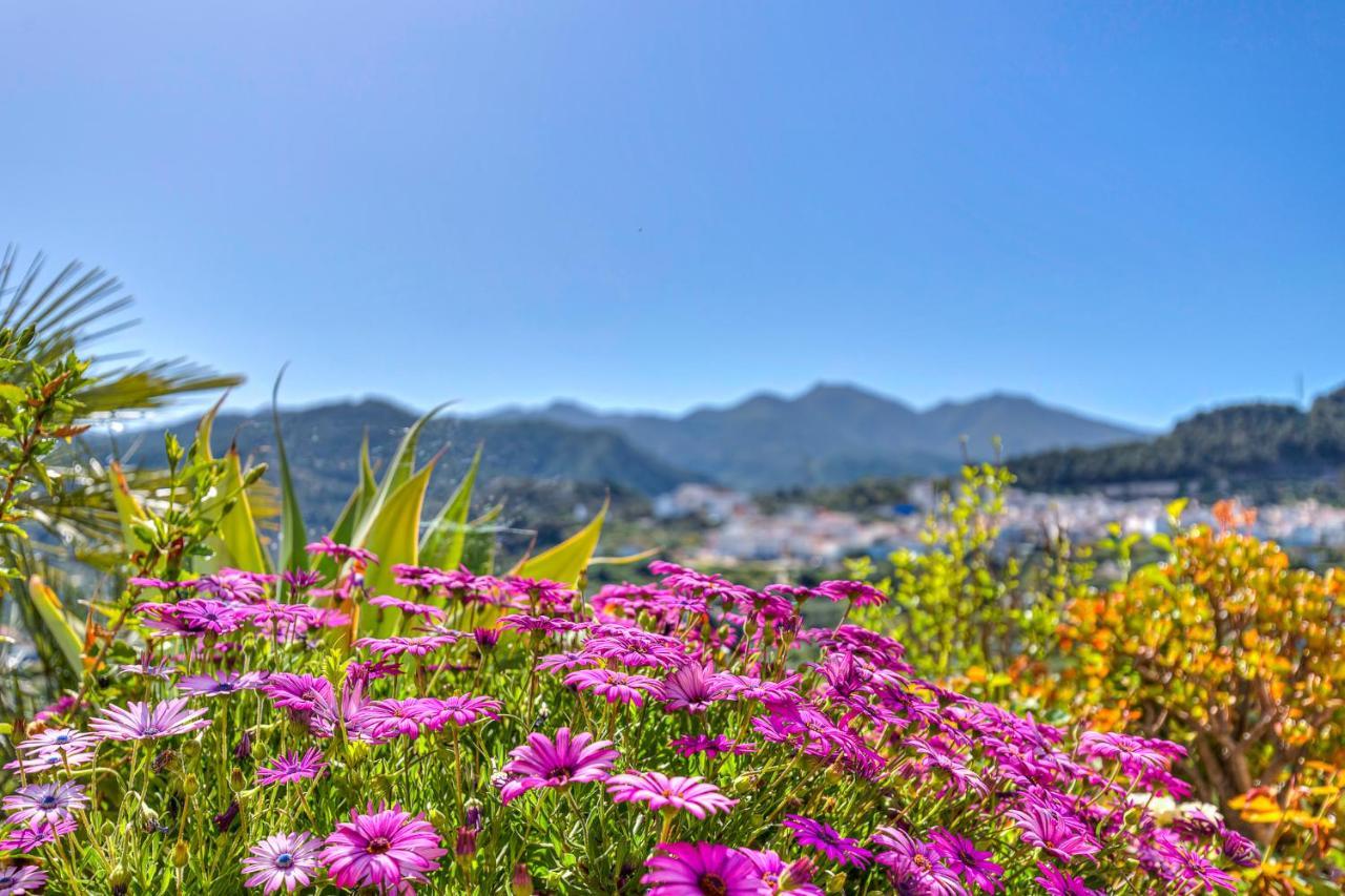 Monda Heights Close To Marbella Kültér fotó